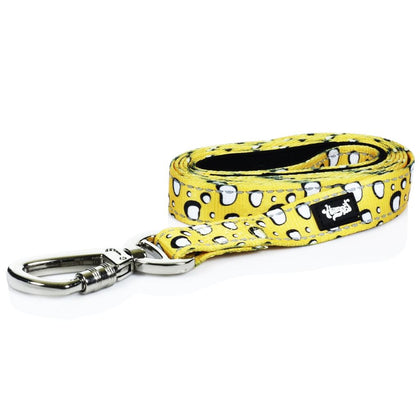 Heady Pet Dog Leash - Shatter