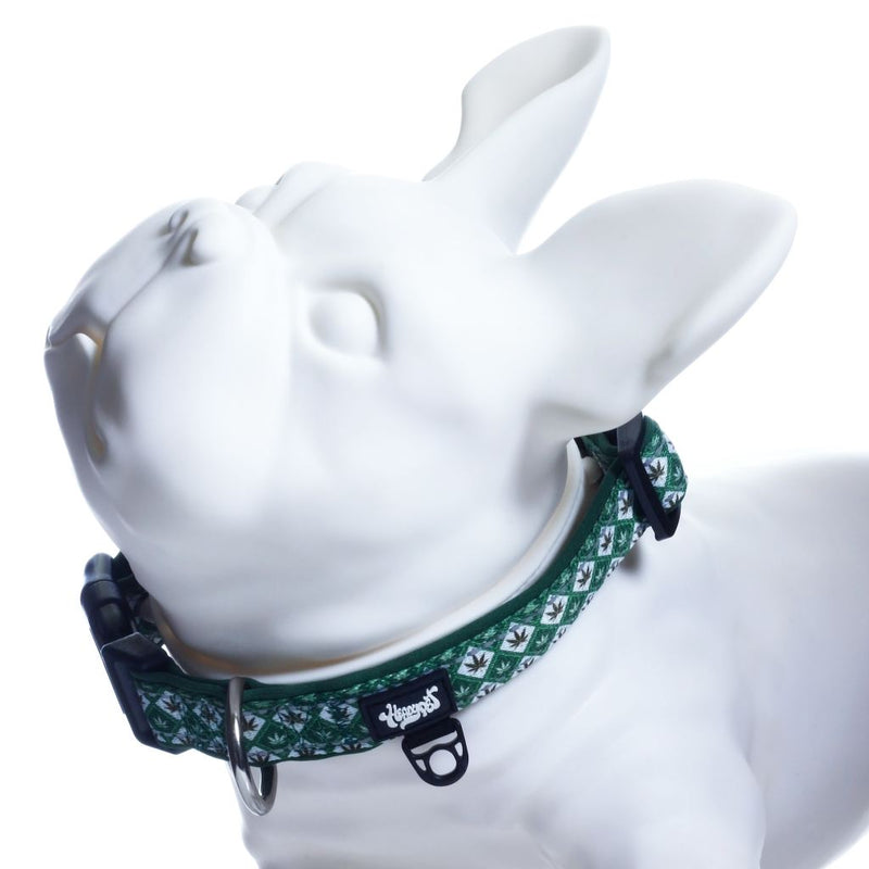 Headypet Collar V2 - Argyle