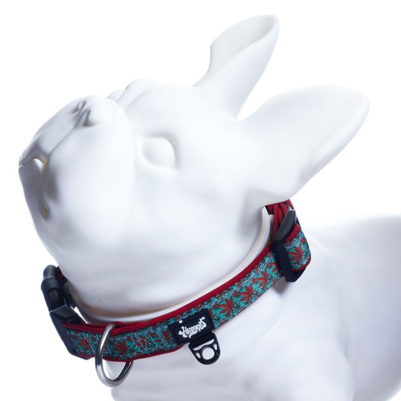 Headypet Collar V2 - Caribbean