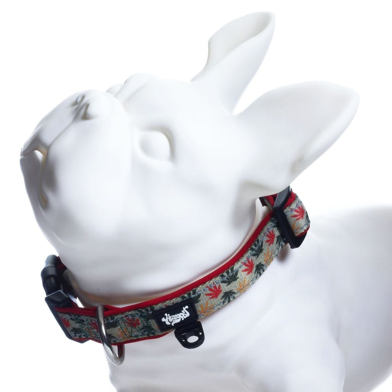 Marijuana dog collar V2 - Rasta