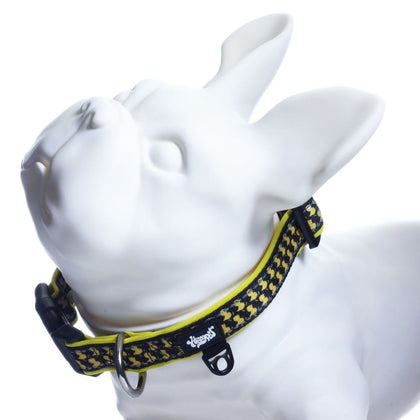 Headypet Collar V2 - Errlybird